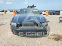 2014 Ford MUSTANG фото