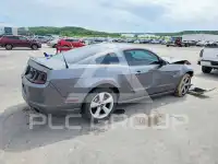 2014 Ford MUSTANG фото