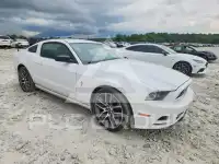 2014 Ford MUSTANG photo