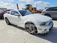 2014 Ford MUSTANG фото