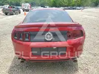 2014 Ford MUSTANG фото