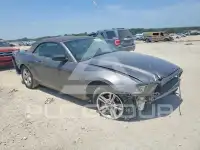 2014 Ford MUSTANG photo