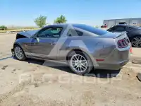 2014 Ford MUSTANG photo