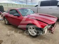 2014 Ford MUSTANG photo