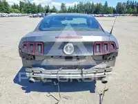 2014 Ford MUSTANG фото