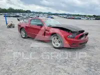 2014 Ford MUSTANG photo