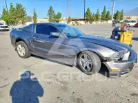 2014 Ford MUSTANG photo