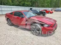 2014 Ford MUSTANG фото