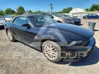 2014 Ford MUSTANG фото