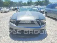 2014 Ford MUSTANG photo