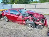 2014 Ford MUSTANG фото