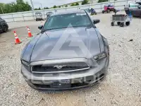 2014 Ford MUSTANG фото