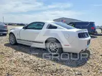 2014 Ford MUSTANG photo