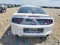 2014 Ford MUSTANG photo
