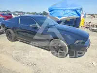 2014 Ford MUSTANG фото