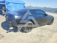 2014 Ford MUSTANG фото