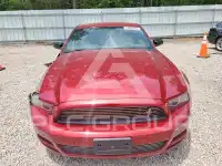 2014 Ford MUSTANG фото