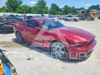 2014 Ford MUSTANG photo