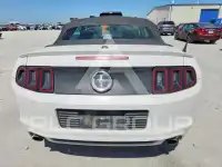 2014 Ford MUSTANG фото