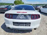 2014 Ford MUSTANG фото