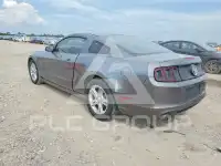 2014 Ford MUSTANG фото