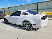 2014 Ford MUSTANG фото