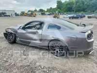 2014 Ford MUSTANG photo