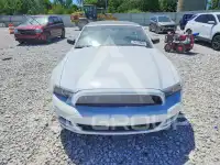 2014 Ford MUSTANG photo