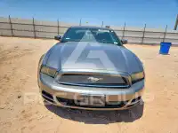 2014 Ford MUSTANG фото