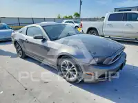 2014 Ford MUSTANG фото