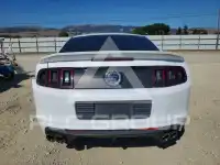 2014 Ford MUSTANG фото