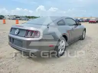 2014 Ford MUSTANG фото
