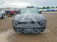 2014 Ford MUSTANG photo