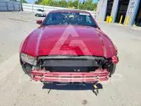 2014 Ford MUSTANG фото