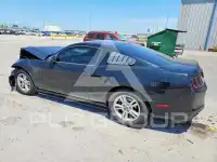 2014 Ford MUSTANG photo