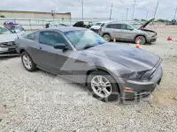 2014 Ford MUSTANG фото