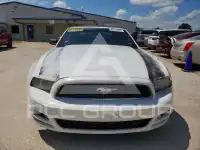 2014 Ford MUSTANG фото
