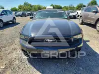 2014 Ford MUSTANG фото