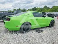 2014 Ford MUSTANG фото