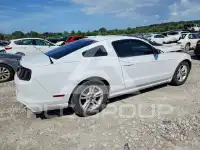 2014 Ford MUSTANG фото