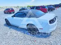 2014 Ford MUSTANG photo