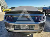 2014 Ford MUSTANG фото