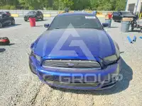 2014 Ford MUSTANG фото