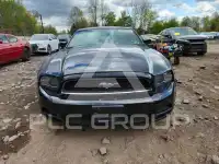 2014 Ford MUSTANG фото