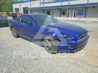 2014 Ford MUSTANG фото