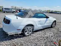 2014 Ford MUSTANG фото