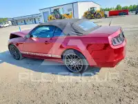 2014 Ford MUSTANG photo