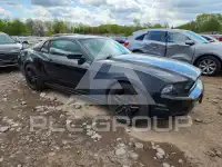2014 Ford MUSTANG фото