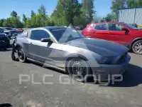 2014 Ford MUSTANG фото