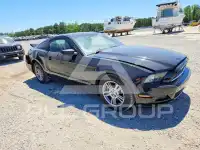 2014 Ford MUSTANG фото